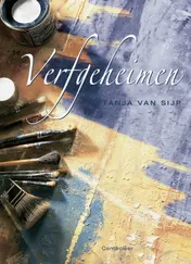 Omslag van Verfgeheimen