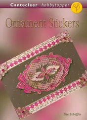 Omslag van Ornament Stickers