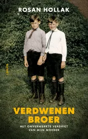 Omslag van Verdwenen broer