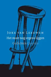 Omslag van Het moet nog ergens liggen