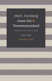 Omslag van Amor fati & Tweestromenland