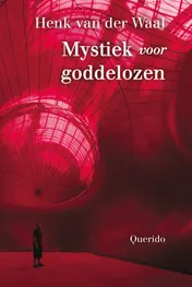 Omslag van Mystiek voor goddelozen