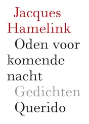 Omslag van Oden voor komende nacht
