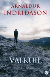 Omslag van Valkuil
