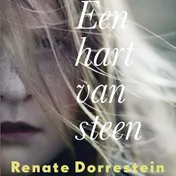 Omslag van Een hart van steen