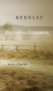 Omslag van Hersenschimmen