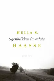 Omslag van Ogenblikken in Valois