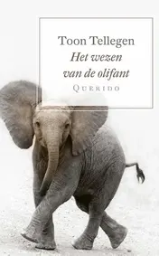 Omslag van Het wezen van de olifant