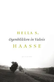 Omslag van Ogenblikken in Valois