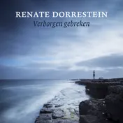 Omslag van Verborgen gebreken