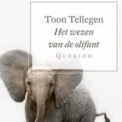 Omslag van Het wezen van de olifant