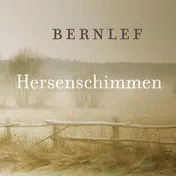 Omslag van Hersenschimmen