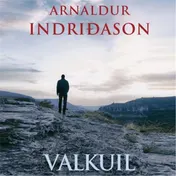 Omslag van Valkuil