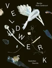 Omslag van Veldwerk