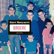 Omslag van Broere