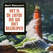 Omslag van Het is de liefde die we niet begrijpen
