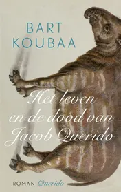 Omslag van Het leven en de dood van Jacob Querido