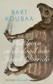 Omslag van Het leven en de dood van Jacob Querido