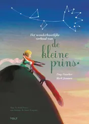 Omslag van Het wonderbaarlijke verhaal van de kleine prins