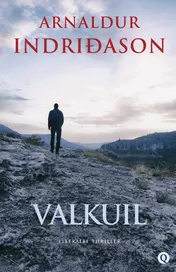 Omslag van Valkuil
