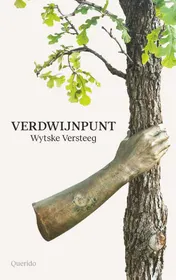 Omslag van Verdwijnpunt