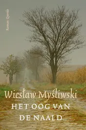 Omslag van Het Oog van de Naald