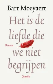 Omslag van Het is de liefde die we niet begrijpen
