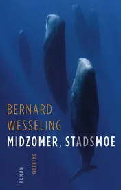Omslag van Midzomer, stadsmoe