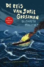 Omslag van De reis van Sofie Grossman