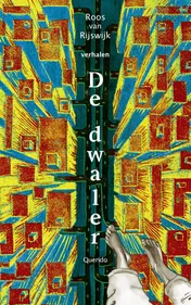 Omslag van De dwaler