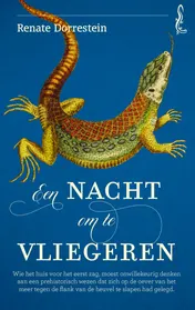 Omslag van Een nacht om te vliegeren