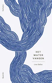 Omslag van Het water vangen