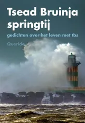 Omslag van Springtij