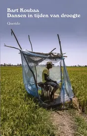 Omslag van Dansen in tijden van droogte