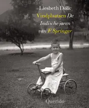 Omslag van Vindplaatsen