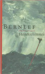 Omslag van Hersenschimmen