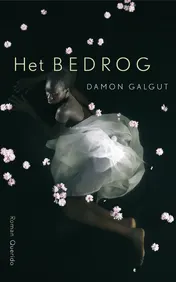 Omslag van Het bedrog