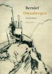 Omslag van Dwaalwegen