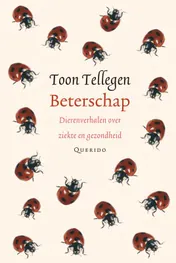 Omslag van Beterschap