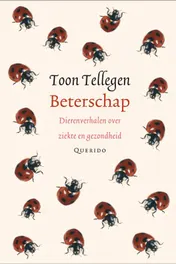 Omslag van Beterschap set 6 ex