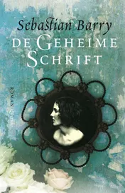 Omslag van De geheime schrift