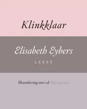 Omslag van Klinkklaar