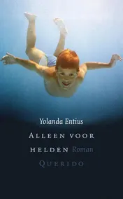 Omslag van Alleen voor helden