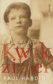 Omslag van Kwikzilver