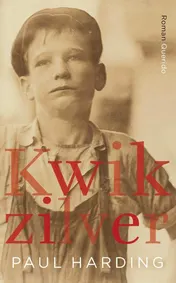 Omslag van Kwikzilver