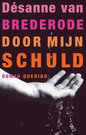 Omslag van Door mijn schuld