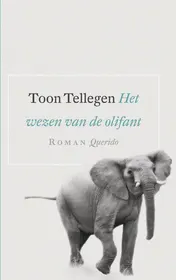 Omslag van Het wezen van de olifant