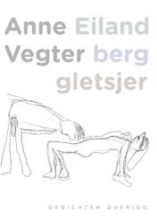 Omslag van Eiland berg gletsjer