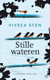 Omslag van Stille wateren