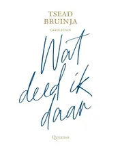 Omslag van Wat deed ik daar